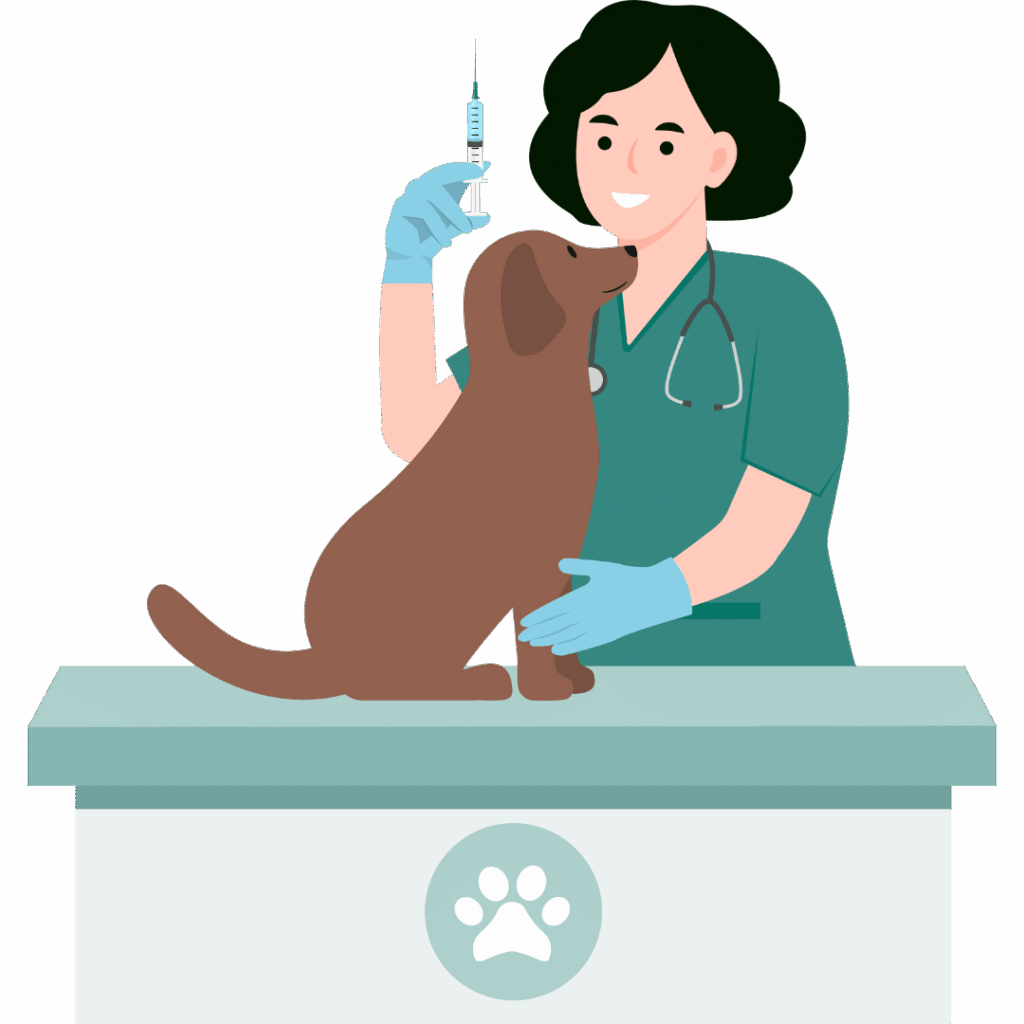 zamvet area veterinari zamvet area veterinari