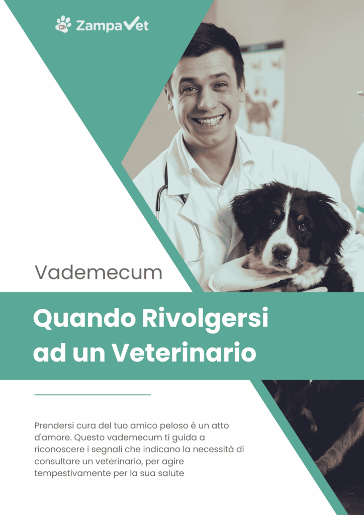zamvet vademecum quando rivolgersi ad un veterinario copertina zamvet vademecum quando rivolgersi ad un veterinario copertina